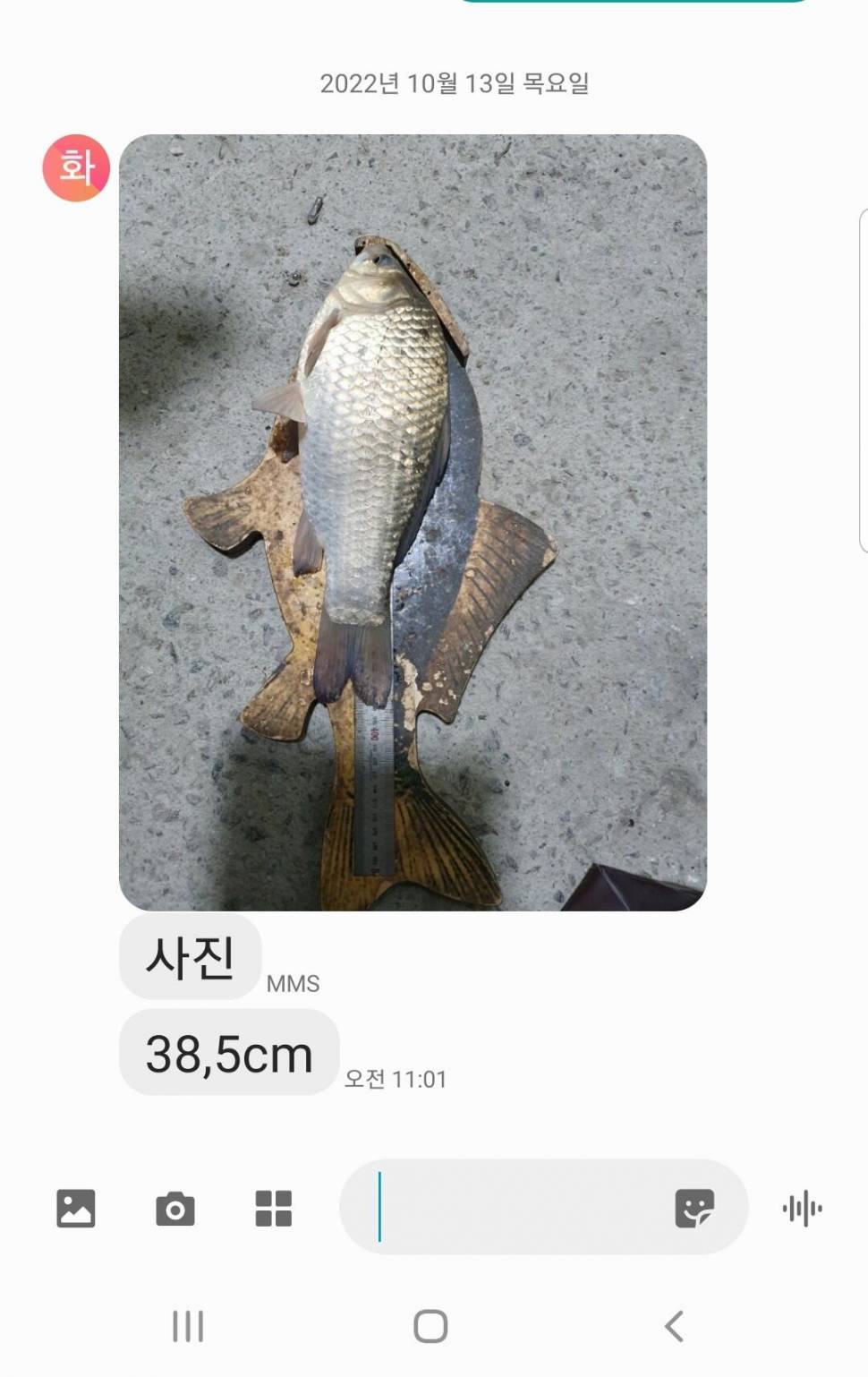 2022년 10월 둘째주 조황정보 용담낚시터사암지 (유료터정보 - 유료터점주조황)