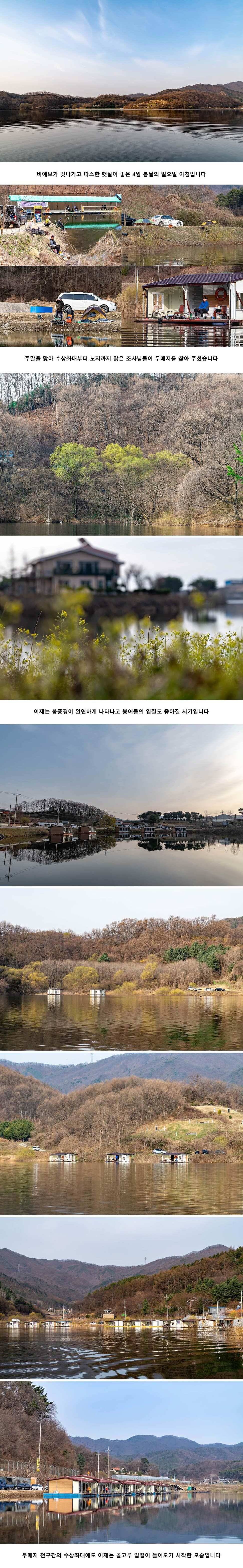 안성 두메낚시터 4월 7일 조황정보 (유료터정보 - 유료터점주조황)