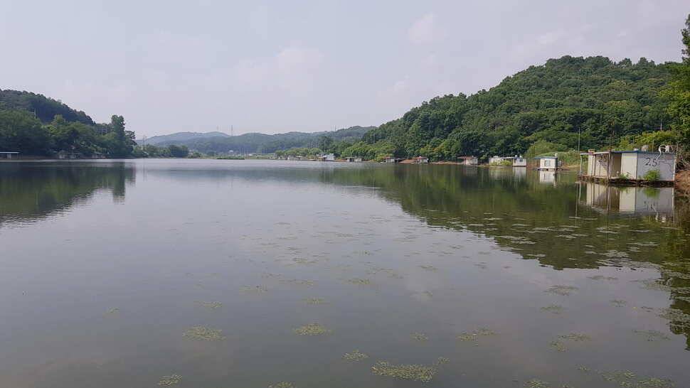 당진 가교리낚시터 6월 둘째주 조황 (유료터정보 - 유료터점주조황)