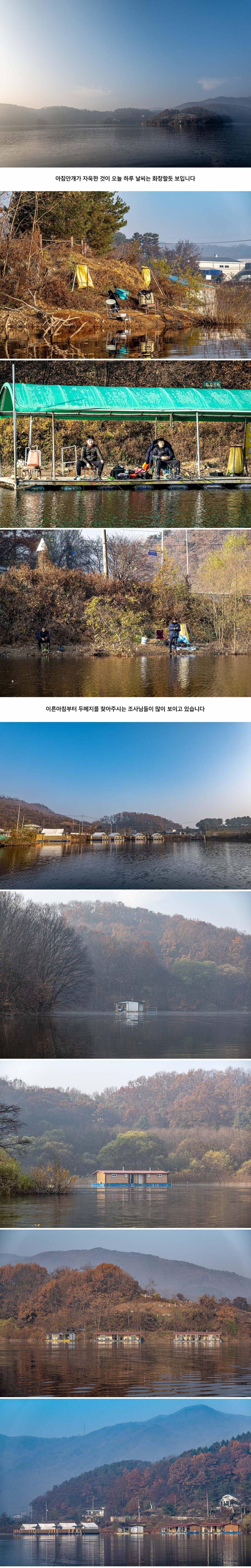 안성 두메낚시터 11월 14일 조황정보 (유료터정보 - 유료터점주조황)