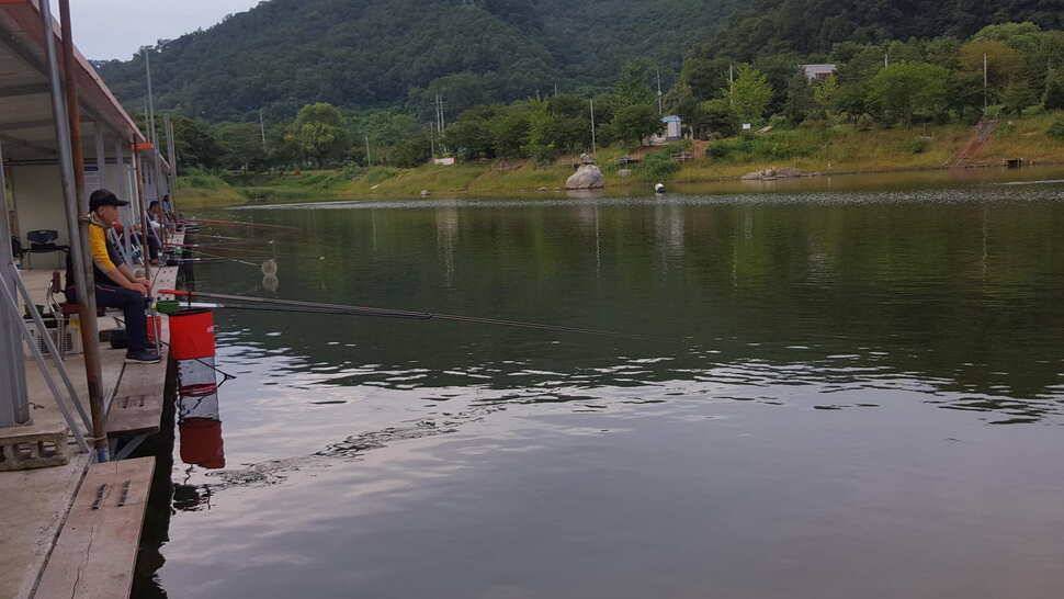 양평낚시터 양평 수곡낚시터 금일 조황 및 붕어 방류 소식 (유료터정보 - 유료터점주조황)