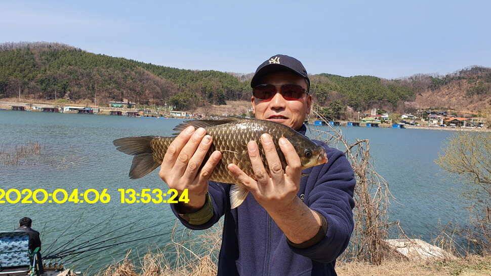 신원낚시터4월7일 토종붕어 방류와 조황 소식입니다 (유료터정보 - 유료터점주조황)