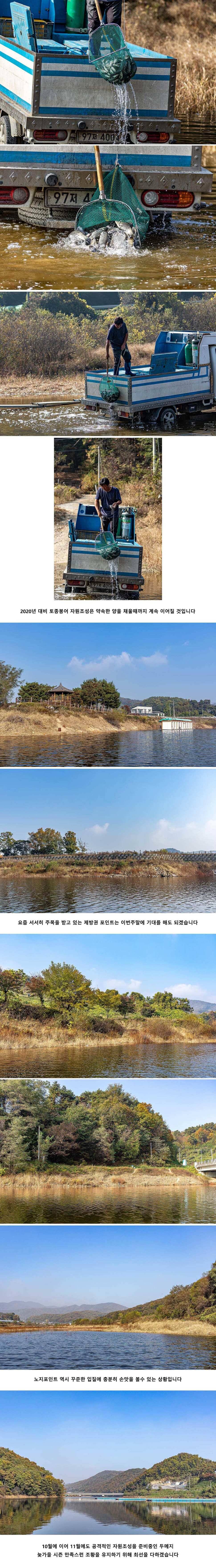 안성 두메낚시터 11월 1일 조황정보 (유료터정보 - 유료터점주조황)