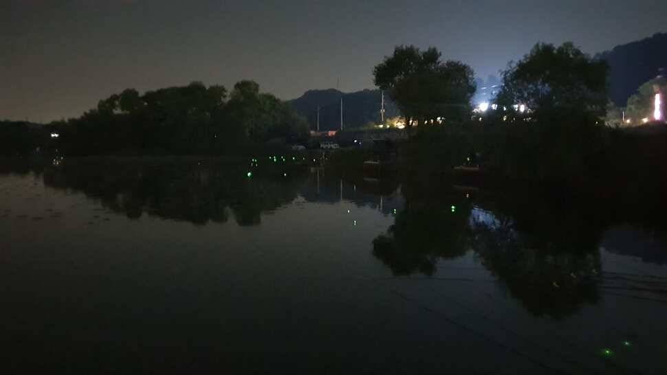 아산 명품 월랑낚시터 6월 첫번째 조황이야기입니다 (유료터정보 - 유료터점주조황)