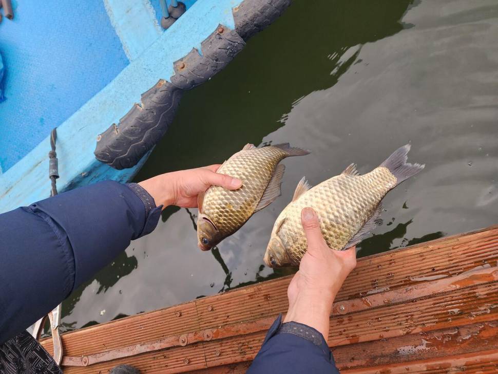 송전지 창신집 45cm 대박 조황 (유료터정보 - 유료터점주조황)