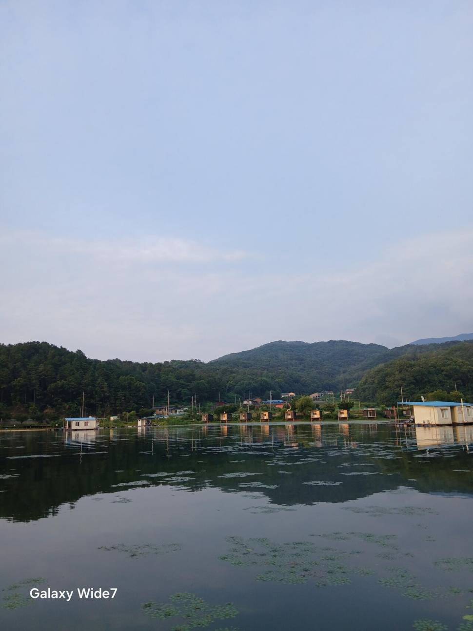 계속되는 입질 활성도가 좋아요 (유료터정보 - 유료터점주조황)