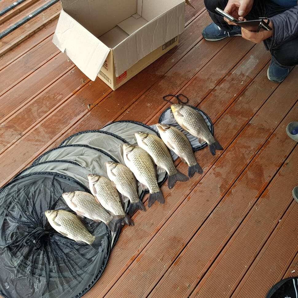 밤 낚시가 기대되는 송전지 (유료터정보 - 유료터점주조황)
