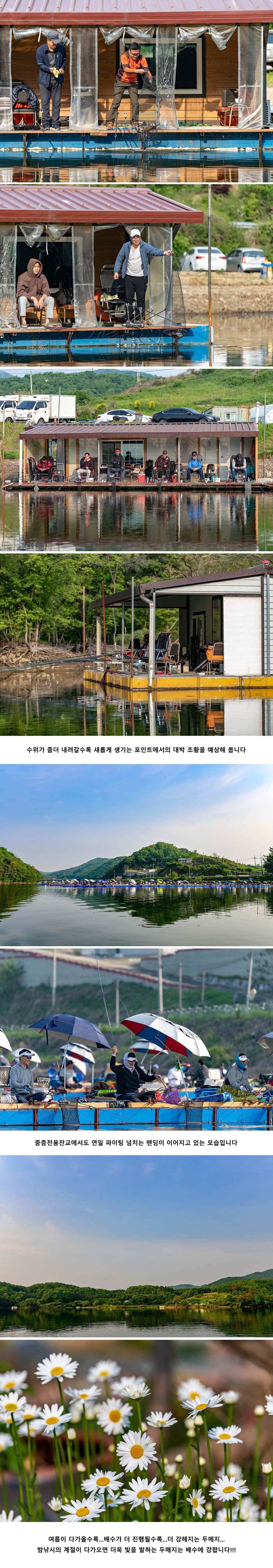 안성 두메낚시터 5월 12일 조황정보 (유료터정보 - 유료터점주조황)
