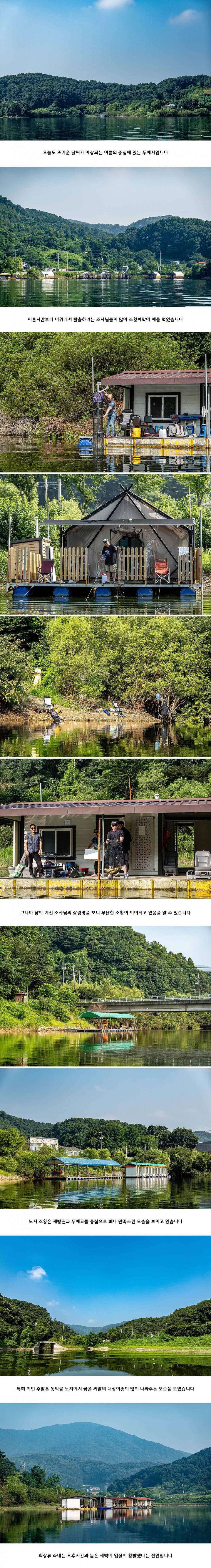 안성 두메낚시터 8월 4일 조황정보 (유료터정보 - 유료터점주조황)