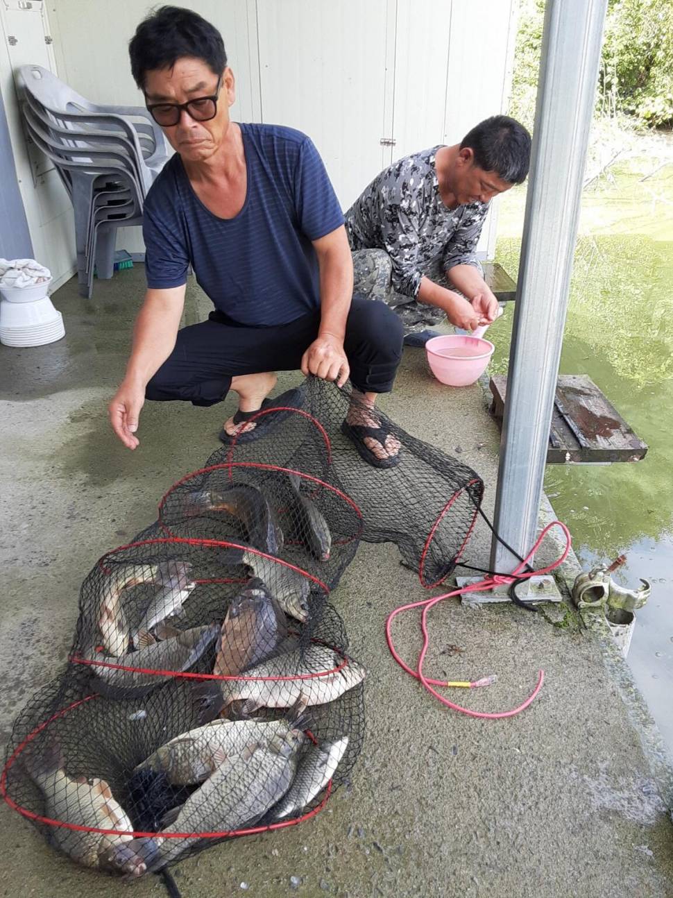 충북 괴산 오가리낚시터 9월 17일 조황입니다 (유료터정보 - 유료터점주조황)