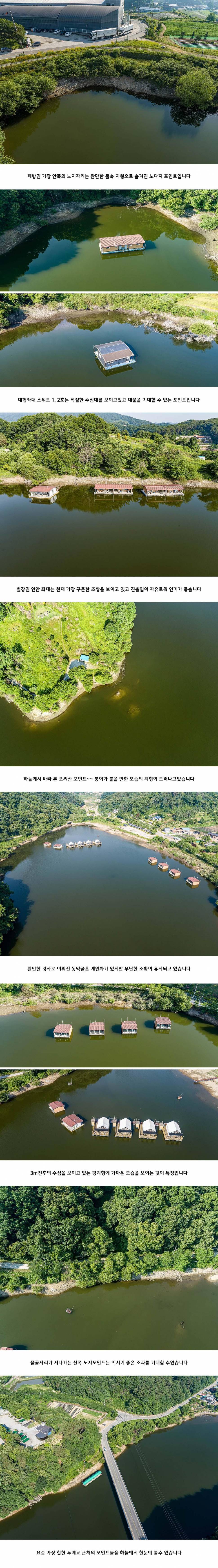 안성 두메낚시터 6월 5일 조황정보 (유료터정보 - 유료터점주조황)