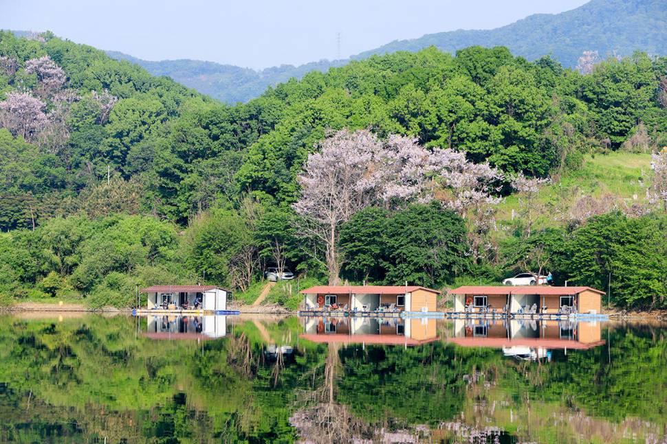 안성 두메낚시터 5월14일 조황안내 (유료터정보 - 유료터점주조황)
