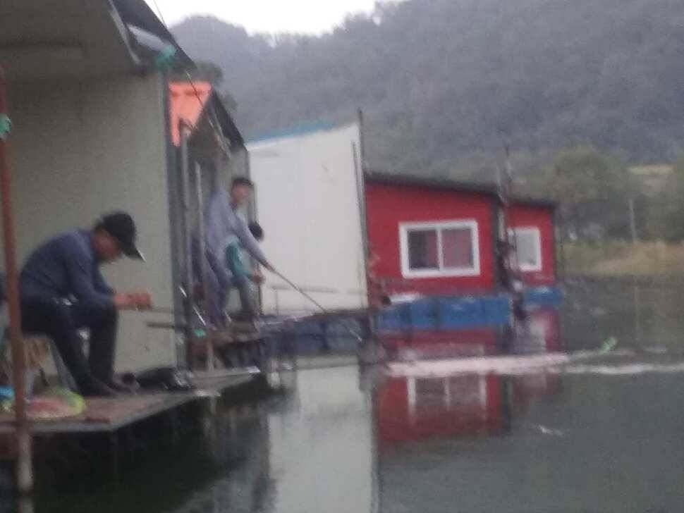 양평 수곡낚시터 붕어낚시 금요일 조황도 고르게 잘 나와주네요 오늘 붕어 방류 완료 (유료터정보 - 유료터점주조황)