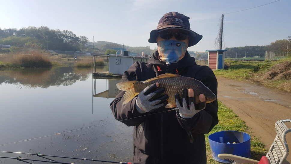 당진 가교리낚시터 4월 29일 조황 (유료터정보 - 유료터점주조황)