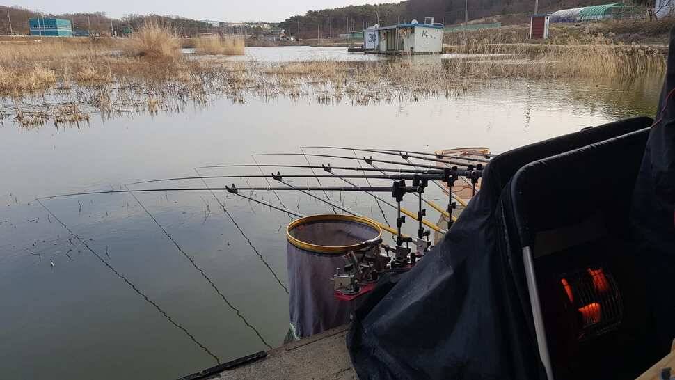 가교리 낚시터 3월 16일 조황입니다 (유료터정보 - 유료터점주조황)
