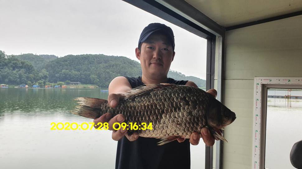 신원낚시터7월29일 토종붕어 방류 소식과 조황입니다 (유료터정보 - 유료터점주조황)
