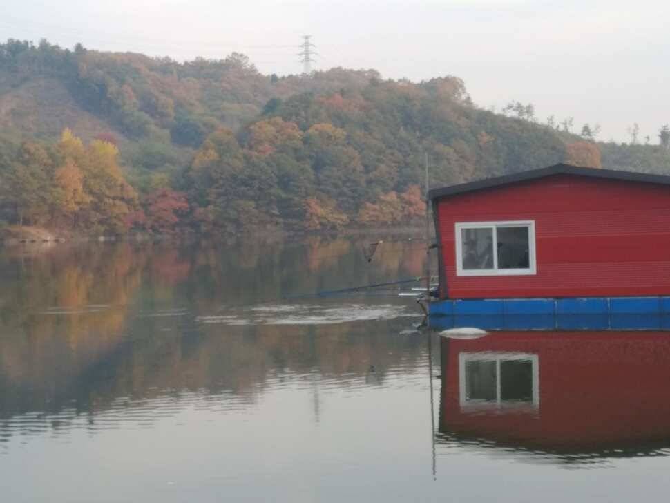 수곡낚시터 금일 자연산 토종붕어 초대량 방류 및 435 토종대물 포함 조황 소식 (유료터정보 - 유료터점주조황)