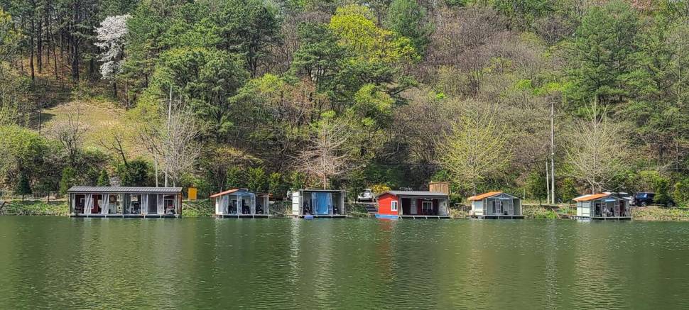4월 둘째주말 양평 힐링 수곡낚시터 조황 및 붕어 방류 (유료터정보 - 유료터점주조황)