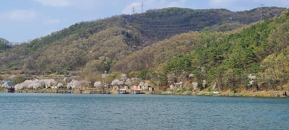 4월둘째주 양평 힐링 수곡낚시터 조황 붕어방류 (유료터정보 - 유료터점주조황)