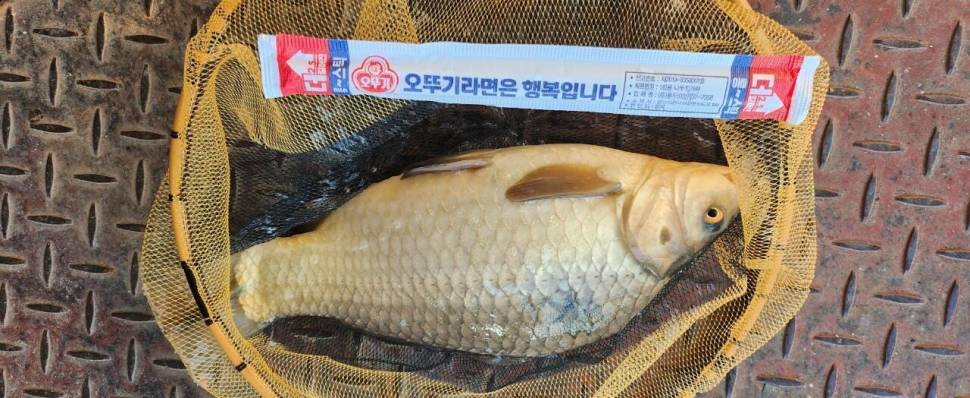 겨울이 다가온 통삼낚시터 겨울 할인 운영 (유료터정보 - 유료터점주조황)