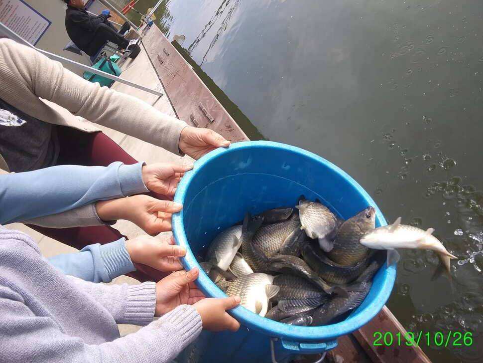 수곡낚시터 4짜 대물붕어가 또 나왔습니다 주말 조황 붕어방류 소식전합니다 (유료터정보 - 유료터점주조황)