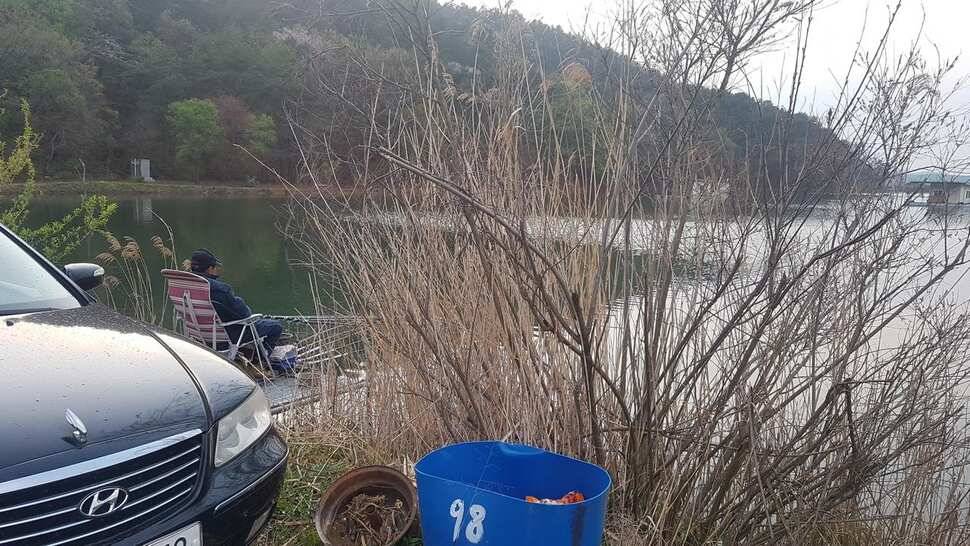 꽝없는 토종터 어우실지 모든조사님 월척을 하셨읍니다 (유료터정보 - 유료터점주조황)