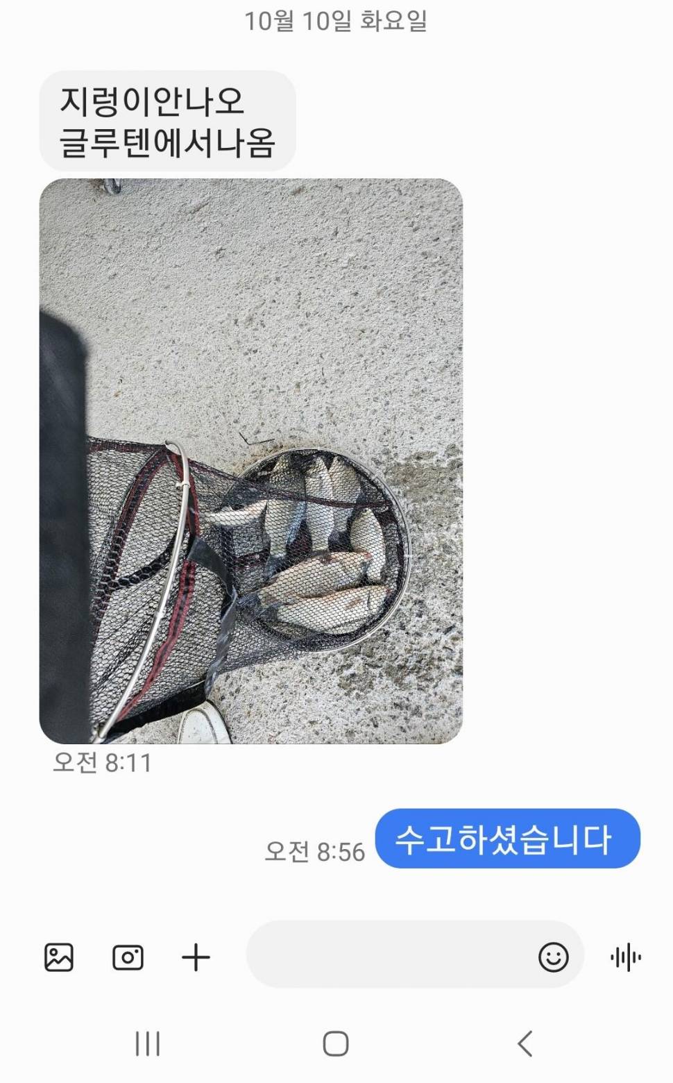 2023년 10월 둘째주 조황정보 용담낚시터사암지 (유료터정보 - 유료터점주조황)