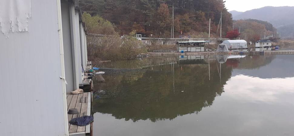 어우실 조황 (유료터정보 - 유료터점주조황)