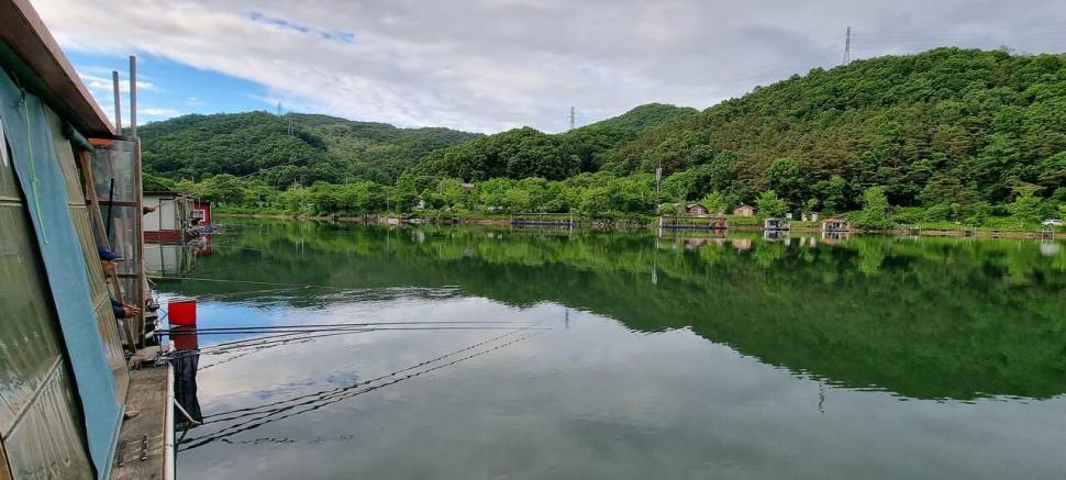 금요일 토요일 주말 힐링 양평 수곡낚시터 조황 꾸준한 편입니다 (유료터정보 - 유료터점주조황)