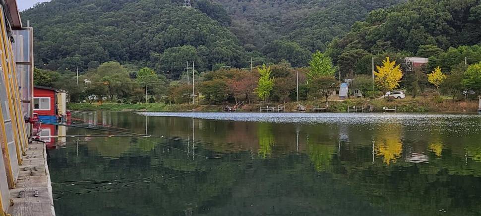 10월둘쨋주 힐링 수곡낚시터 주초 조황 및 방류 소식 (유료터정보 - 유료터점주조황)