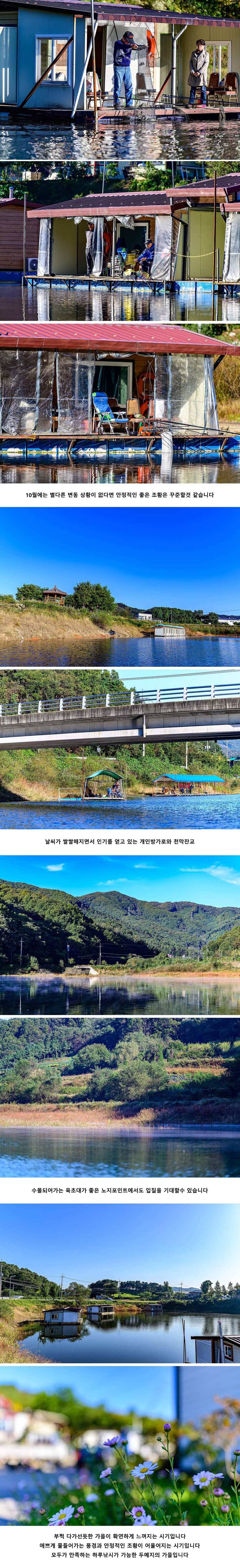 안성 두메낚시터 10월 9일 조황정보 (유료터정보 - 유료터점주조황)