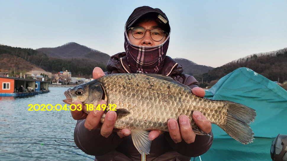 신원낚시터4월7일 토종붕어 방류와 조황 소식입니다 (유료터정보 - 유료터점주조황)