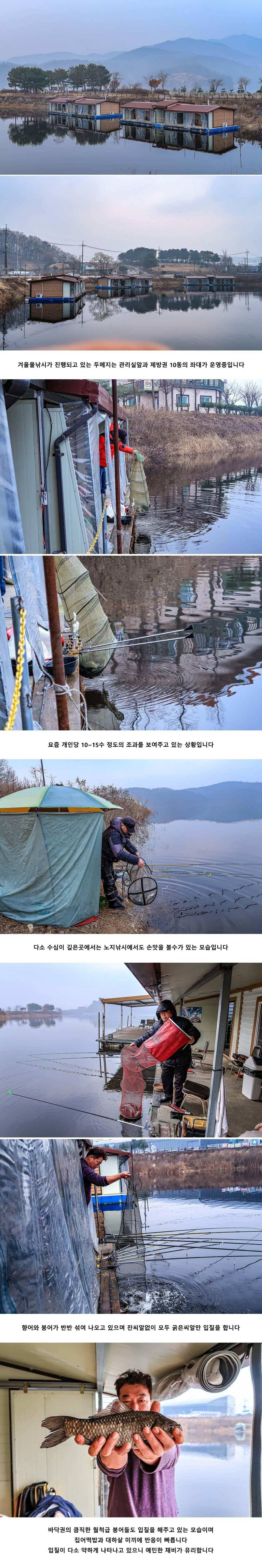 안성 두메낚시터 12월 10일 조황정보 (유료터정보 - 유료터점주조황)