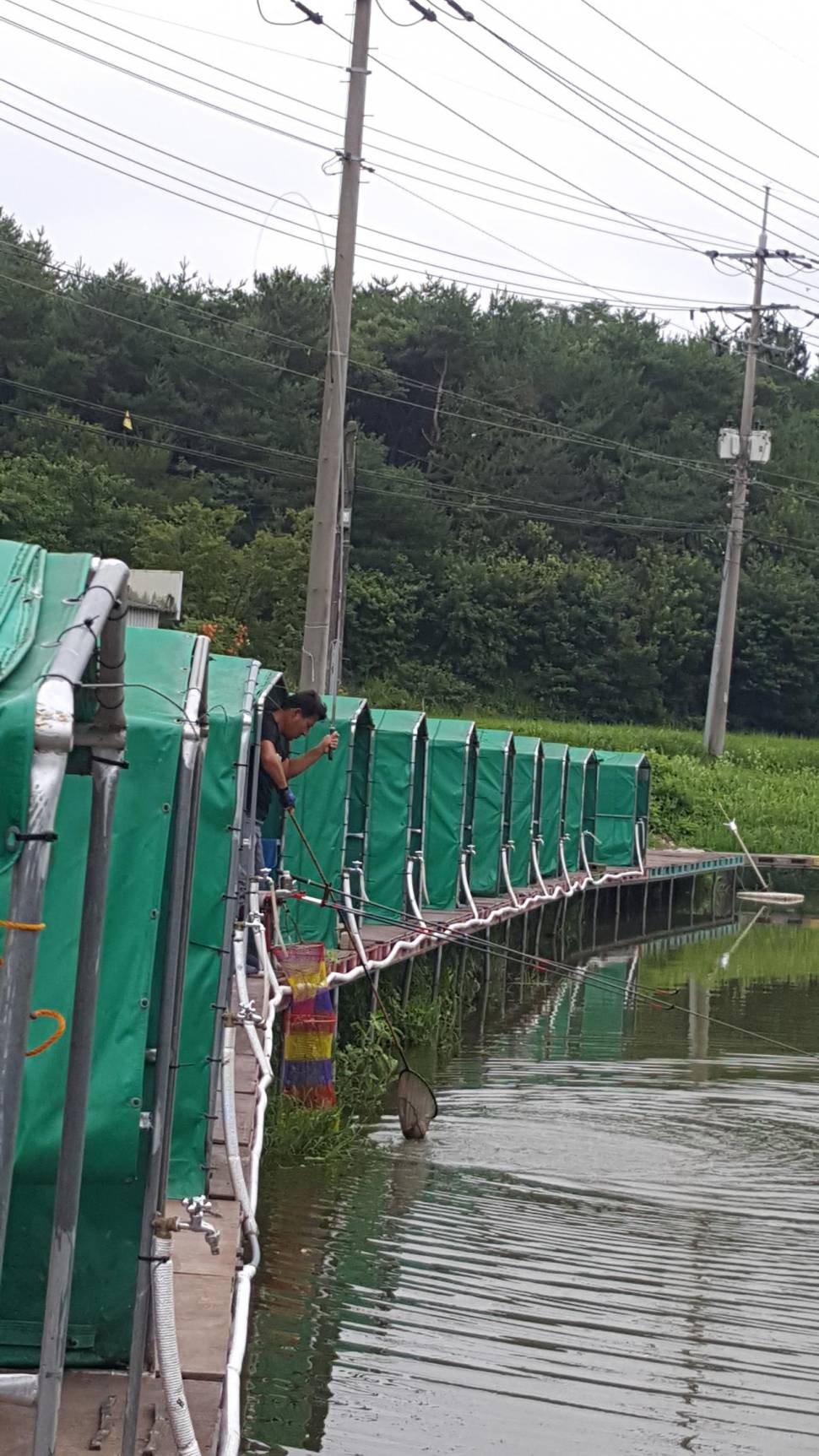 경주 동산낚시터붕어전용잡이터지난주 조황 (유료터정보 - 유료터점주조황)
