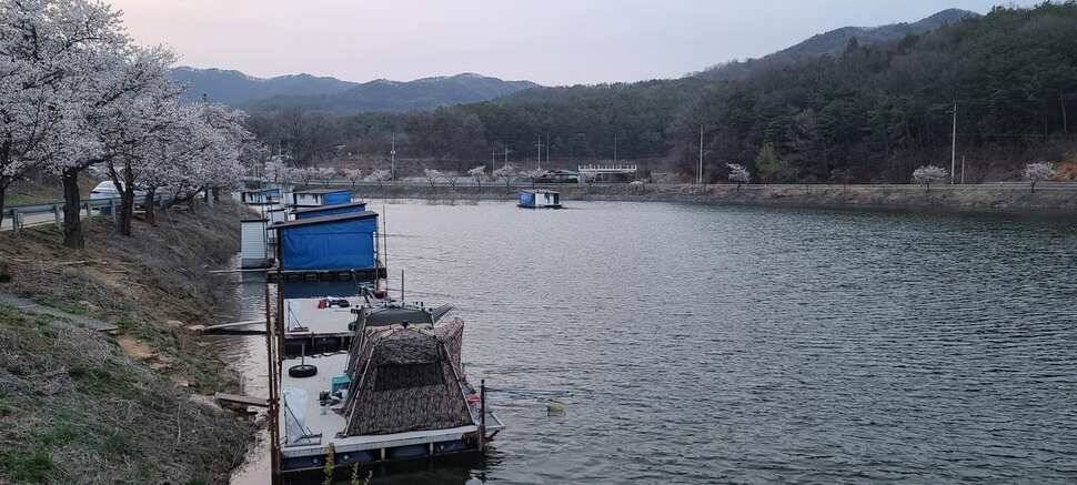 공주 고성낚시터 입니다 (유료터정보 - 유료터점주조황)
