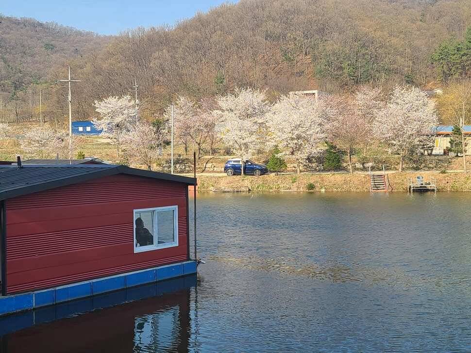 힐링 양평 수곡낚시터 월요일 조황 및 수상좌대 할인요금 안내 (유료터정보 - 유료터점주조황)