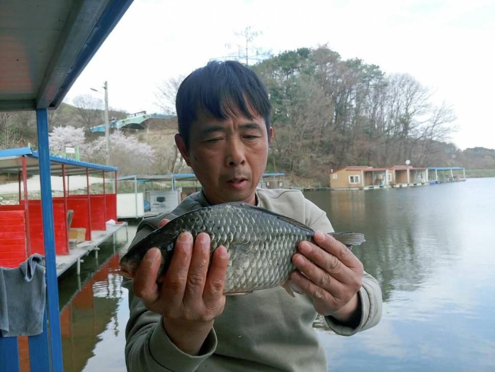 안성 독정낚시터 이래죽나 저래죽나 (유료터정보 - 유료터점주조황)