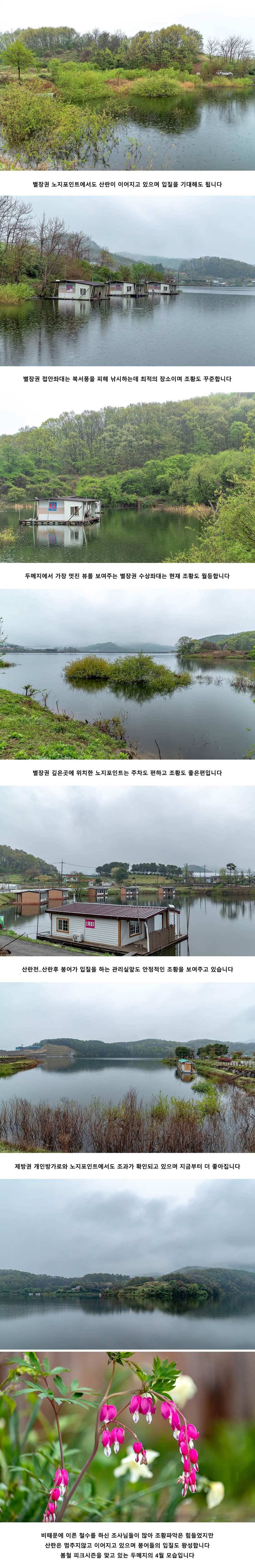 안성 두메낚시터 4월 24일 조황정보 (유료터정보 - 유료터점주조황)