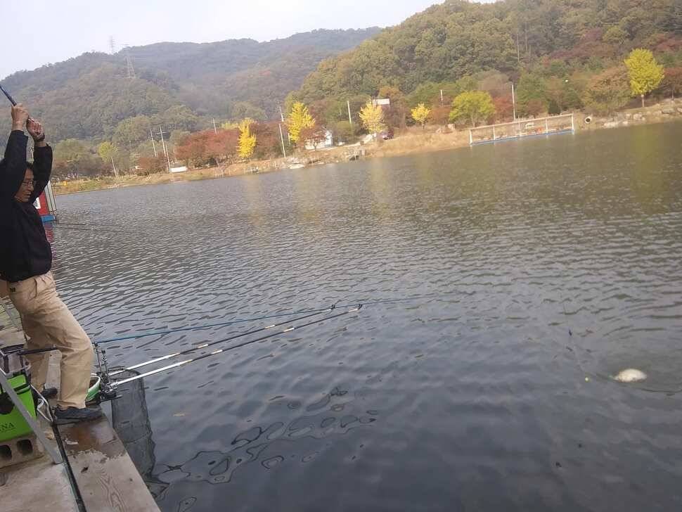 붕어낚시 양평 수곡낚시터 어제조황도 고르게 잘 나와주었습니다 (유료터정보 - 유료터점주조황)