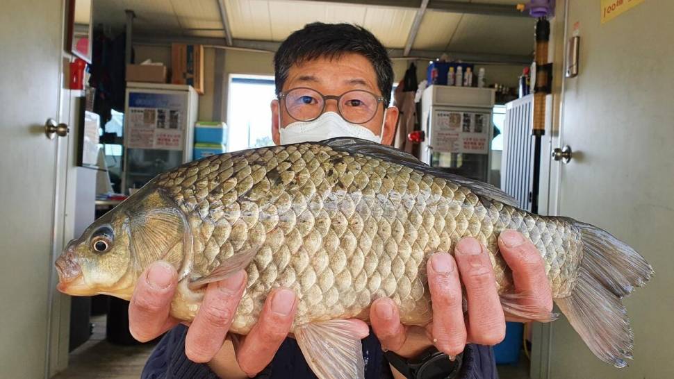 시즌 달라기중 사짜조황입니다 (유료터정보 - 유료터점주조황)