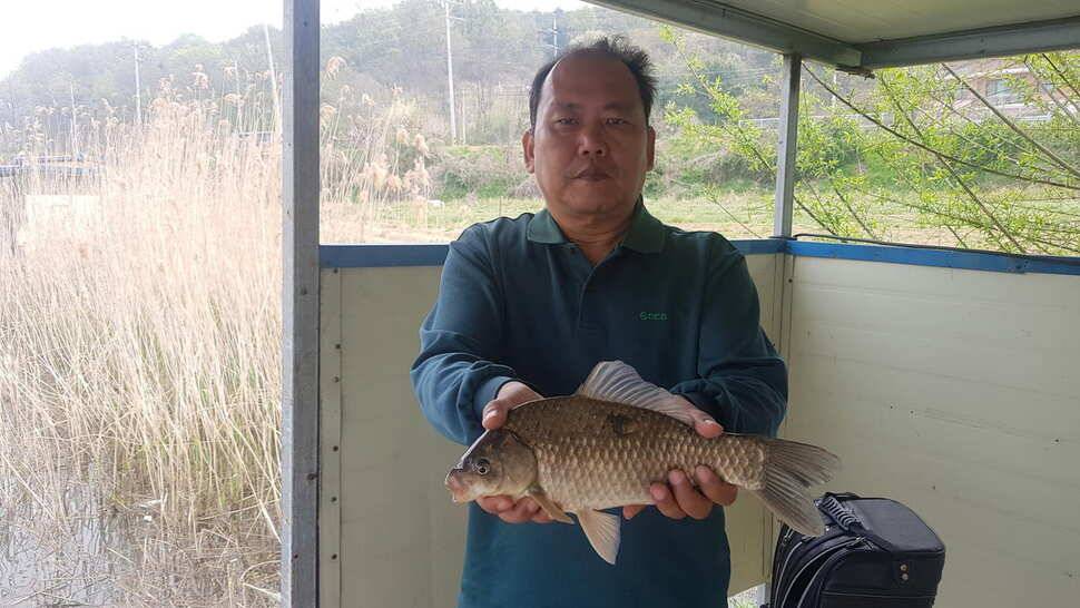 당진 가교리낚시터 4월 25일 토종붕어 조황 (유료터정보 - 유료터점주조황)