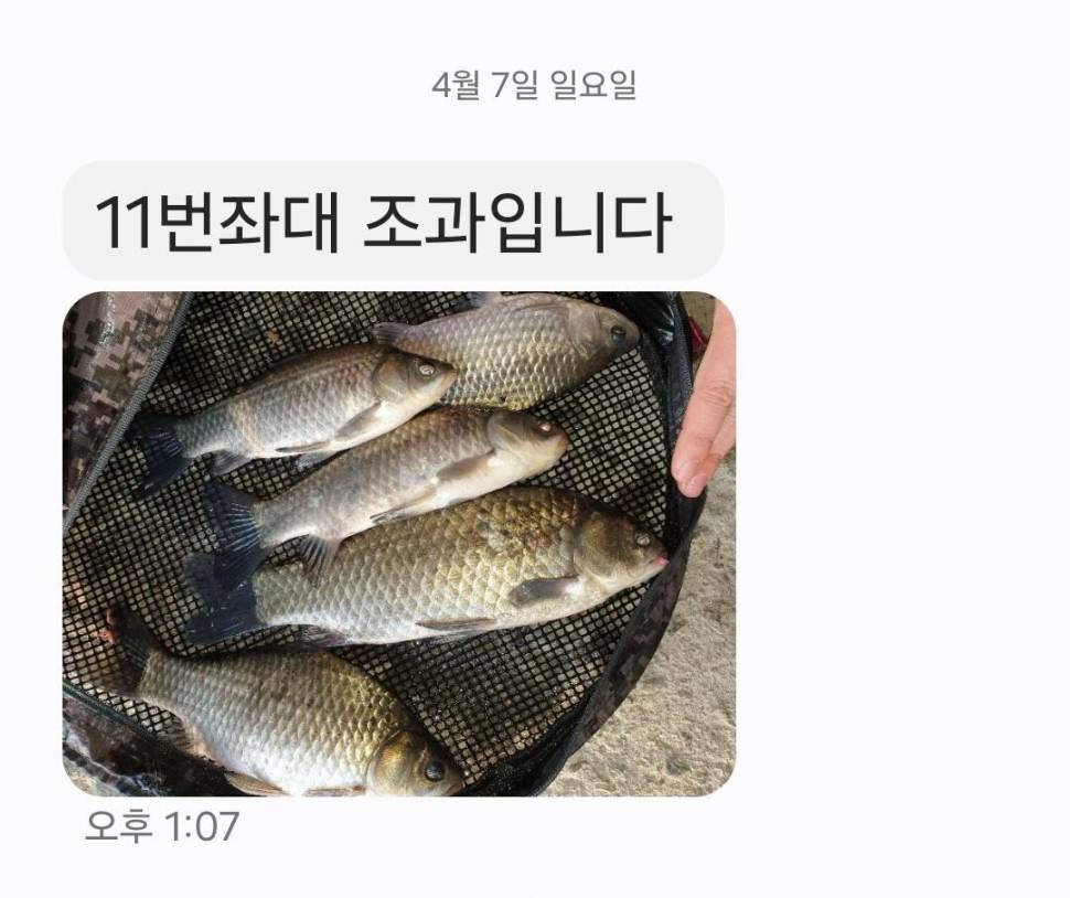 2024년 04월 둘째주 조황정보 용담낚시터사암지 이번주 4짜 1마리 (유료터정보 - 유료터점주조황)