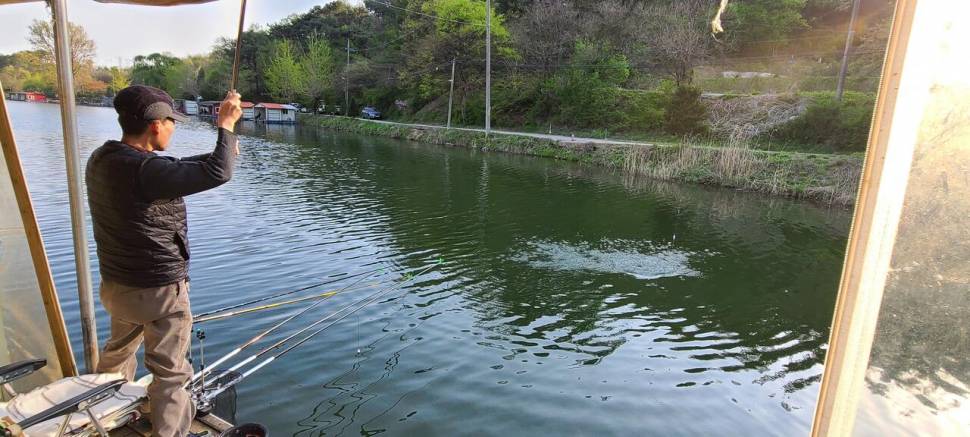 주중반 수목 힐링 수곡낚시터 괜찬은 조황이나 편차는 있었습니다 (유료터정보 - 유료터점주조황)