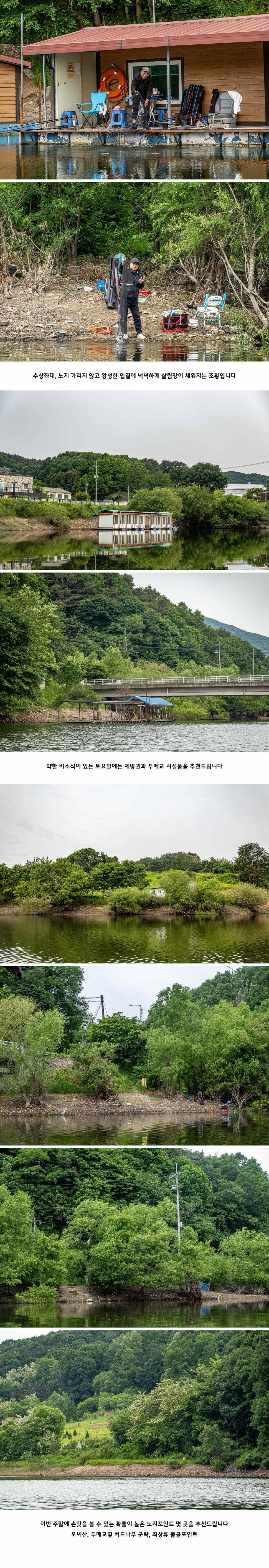 안성 두메낚시터 5월 23일 조황정보 (유료터정보 - 유료터점주조황)