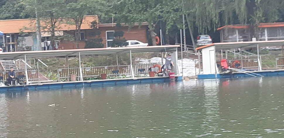 양평 수곡낚시터 9월28 오늘도 고르게 좋은 조황이 이어지고 있네요 오늘 붕어방류 완료하였습니다 (유료터정보 - 유료터점주조황)