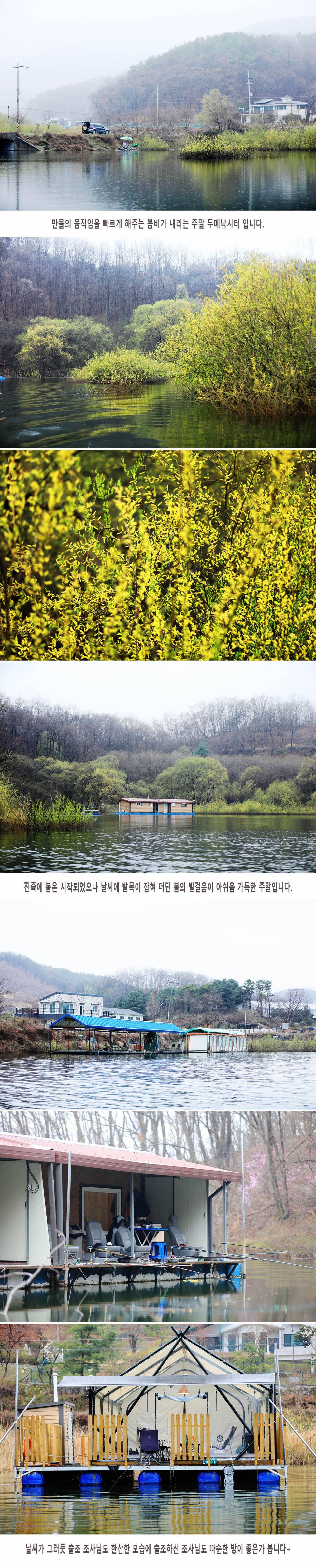 안성 두메낚시터 3월28일 조황안내 (유료터정보 - 유료터점주조황)