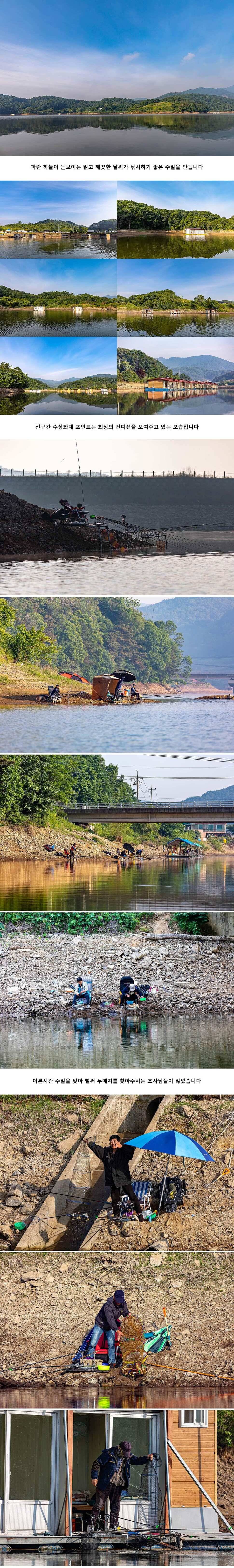 안성 두메낚시터 6월 1일 조황정보 (유료터정보 - 유료터점주조황)