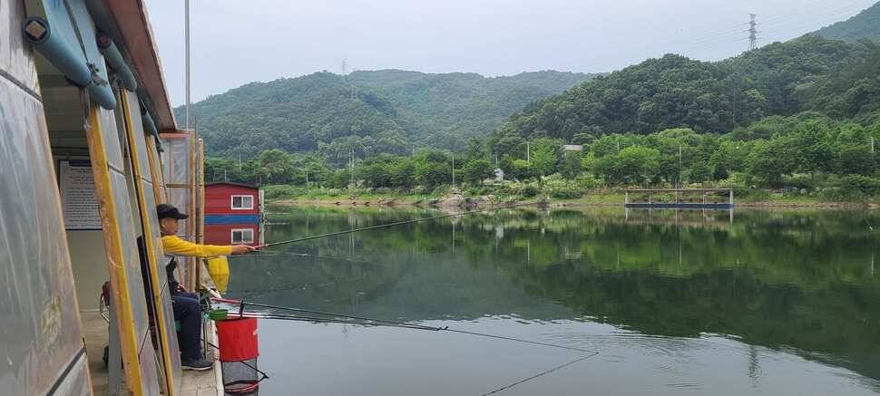 낚시터추천 피서낚시 수곡낚시터 6월말 조황 및 금일 방류 완료 (유료터정보 - 유료터점주조황)