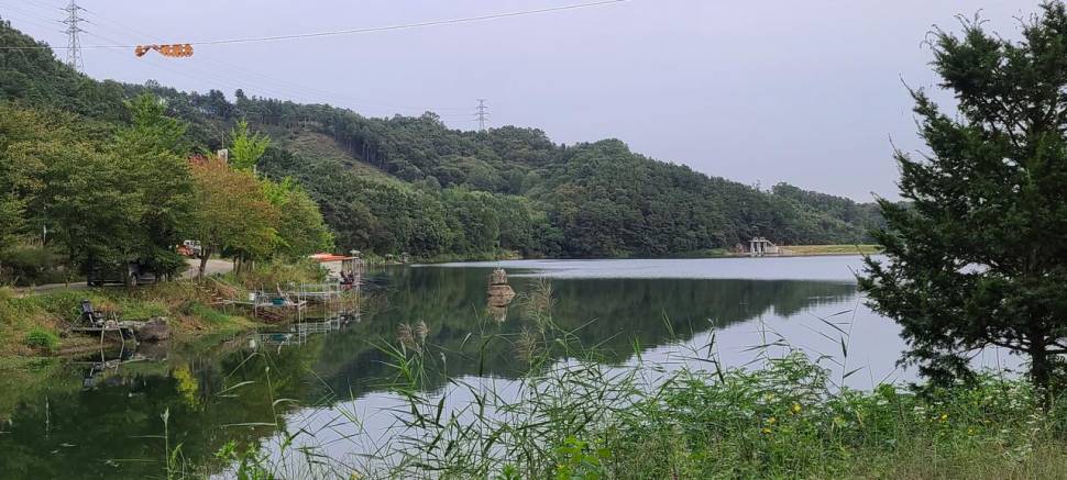 초가을 힐링 수곡낚시터 주후반 목금요일 조황 및 붕어방류 (유료터정보 - 유료터점주조황)