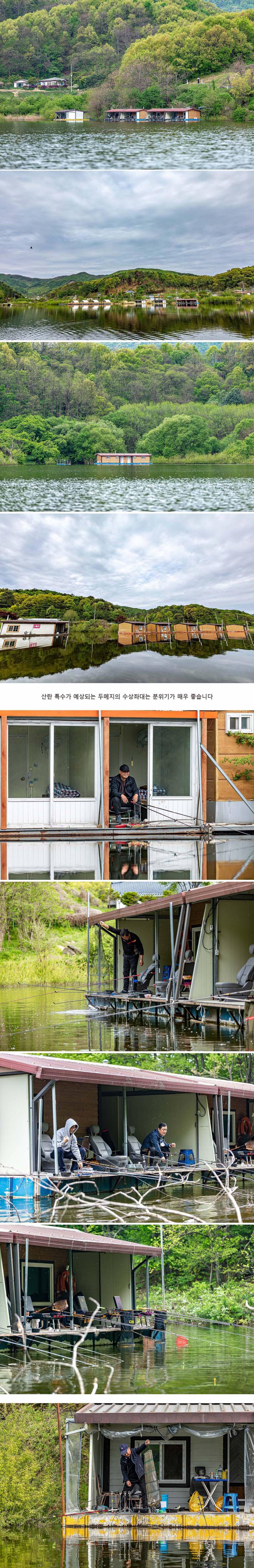 안성 두메낚시터 4월 24일 조황정보 (유료터정보 - 유료터점주조황)
